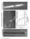 Fig. 06 - Apparatus and methods for detection of tumor cells in blood