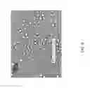 Fig. 09 - COMPOSITIONS, KITS AND METHODS FOR IN VITRO ANTIGEN PRESENTATION, ASSESSING VACCINE EFFICACY, AND ASSESSING IMMUNOTOXICITY OF BIOLOGICS AND DRUGS