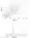 Fig. 02 - Mass spectrometry imaging with substance identification