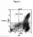 Fig. 06 - ADIPOSE TISSUE-DERIVED STROMAL CELLS AND METHODS OF ISOLATING AND USING THE SAME