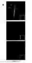 Fig. 08 - Transcriptome transfer produces cellular phenotype conversion