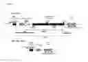 Fig. 09 - Method for transforming a bacterium belonging to the genus by natural competence