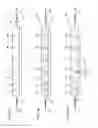 Fig. 05 - Longitudinal assay