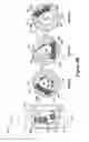 Fig. 11 - Contact assemblies for medical devices having resilient contact members mounted in channels of a mounting member