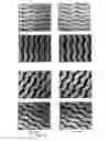 Fig. 15 - AUXETIC KNITTED FABRIC