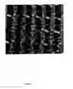 Fig. 27 - AUXETIC KNITTED FABRIC