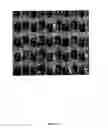 Fig. 37 - AUXETIC KNITTED FABRIC