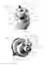 Fig. 09 - Toy figure with reciprocally movable limb
