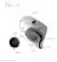 Fig. 13 - Toy figure with reciprocally movable limb