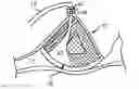 Fig. 01 - Nursing bra