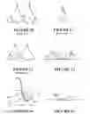 Fig. 12 - Uplift bra
