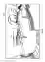 Fig. 08 - Entertainment device and method