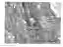 Fig. 01 - Large-pore periodic mesoporous quartz