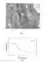 Fig. 06 - Large-pore periodic mesoporous quartz