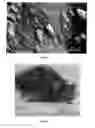 Fig. 08 - Large-pore periodic mesoporous quartz