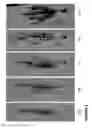 Fig. 03 - Plant Growth Enhancing Mixture and Method of Applying Same