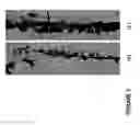 Fig. 04 - Plant Growth Enhancing Mixture and Method of Applying Same