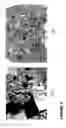 Fig. 05 - Plant Growth Enhancing Mixture and Method of Applying Same