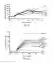 Fig. 08 - Aptamer that recognizes peptide