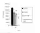 Fig. 02 - Combination antineoplastic therapy
