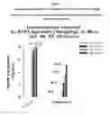 Fig. 02 - Compounds as receptor modulators with therapeutic utility