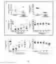 Fig. 02 - METHODS OF TREATMENT USING SELECTIVE BCL-2 INHIBITORS
