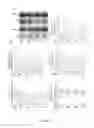 Fig. 19 - Compounds, compositions and methods useful for cholesterol mobilisation