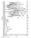 Fig. 08 - [4-(6-FLUORO-7-METHYLAMINO-2,4-DIOXO-1,4-DIHYDRO-2H-QUINAZOLIN-3-YL)-PHENYL]-5-CHLORO-THIOPHEN-2-YL-SULFONYLUREA SALTS, FORMS AND METHODS RELATED THERETO
