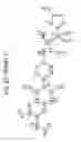Fig. 75 - [4-(6-FLUORO-7-METHYLAMINO-2,4-DIOXO-1,4-DIHYDRO-2H-QUINAZOLIN-3-YL)-PHENYL]-5-CHLORO-THIOPHEN-2-YL-SULFONYLUREA SALTS, FORMS AND METHODS RELATED THERETO