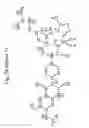 Fig. 79 - [4-(6-FLUORO-7-METHYLAMINO-2,4-DIOXO-1,4-DIHYDRO-2H-QUINAZOLIN-3-YL)-PHENYL]-5-CHLORO-THIOPHEN-2-YL-SULFONYLUREA SALTS, FORMS AND METHODS RELATED THERETO