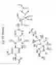 Fig. 83 - [4-(6-FLUORO-7-METHYLAMINO-2,4-DIOXO-1,4-DIHYDRO-2H-QUINAZOLIN-3-YL)-PHENYL]-5-CHLORO-THIOPHEN-2-YL-SULFONYLUREA SALTS, FORMS AND METHODS RELATED THERETO