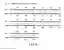Fig. 10 - Inhibition of apoptosis-specific eIF-5A(eIF-5A1″) with antisense oligonucleotides and siRNA as anti-inflammatory therapeutics
