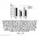 Fig. 131 - Inhibition of apoptosis-specific eIF-5A(eIF-5A1″) with antisense oligonucleotides and siRNA as anti-inflammatory therapeutics