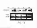 Fig. 16 - Inhibition of apoptosis-specific eIF-5A(eIF-5A1″) with antisense oligonucleotides and siRNA as anti-inflammatory therapeutics