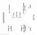 Fig. 24 - Inhibition of apoptosis-specific eIF-5A(eIF-5A1″) with antisense oligonucleotides and siRNA as anti-inflammatory therapeutics