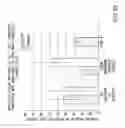 Fig. 33 - Inhibition of apoptosis-specific eIF-5A(eIF-5A1″) with antisense oligonucleotides and siRNA as anti-inflammatory therapeutics