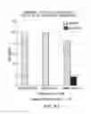 Fig. 43 - Inhibition of apoptosis-specific eIF-5A(eIF-5A1″) with antisense oligonucleotides and siRNA as anti-inflammatory therapeutics
