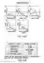 Fig. 44 - Inhibition of apoptosis-specific eIF-5A(eIF-5A1″) with antisense oligonucleotides and siRNA as anti-inflammatory therapeutics