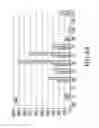 Fig. 46 - Inhibition of apoptosis-specific eIF-5A(eIF-5A1″) with antisense oligonucleotides and siRNA as anti-inflammatory therapeutics