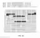 Fig. 80 - Inhibition of apoptosis-specific eIF-5A(eIF-5A1″) with antisense oligonucleotides and siRNA as anti-inflammatory therapeutics