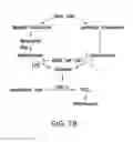 Fig. 90 - Inhibition of apoptosis-specific eIF-5A(eIF-5A1″) with antisense oligonucleotides and siRNA as anti-inflammatory therapeutics