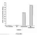 Fig. 95 - Inhibition of apoptosis-specific eIF-5A(eIF-5A1″) with antisense oligonucleotides and siRNA as anti-inflammatory therapeutics