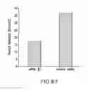 Fig. 99 - Inhibition of apoptosis-specific eIF-5A(eIF-5A1″) with antisense oligonucleotides and siRNA as anti-inflammatory therapeutics