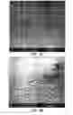 Fig. 02 - Cell-targeting nanoparticles comprising polynucleotide agents and uses thereof