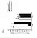 Fig. 04 - Cell-targeting nanoparticles comprising polynucleotide agents and uses thereof