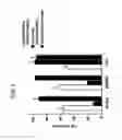 Fig. 05 - Cell-targeting nanoparticles comprising polynucleotide agents and uses thereof