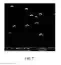 Fig. 08 - Cell-targeting nanoparticles comprising polynucleotide agents and uses thereof