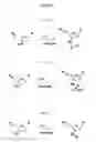 Fig. 10 - MODIFIED OLIGONUCLEOTIDES FOR TELOMERASE INHIBITION