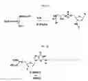 Fig. 11 - MODIFIED OLIGONUCLEOTIDES FOR TELOMERASE INHIBITION