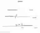 Fig. 18 - MODIFIED OLIGONUCLEOTIDES FOR TELOMERASE INHIBITION
